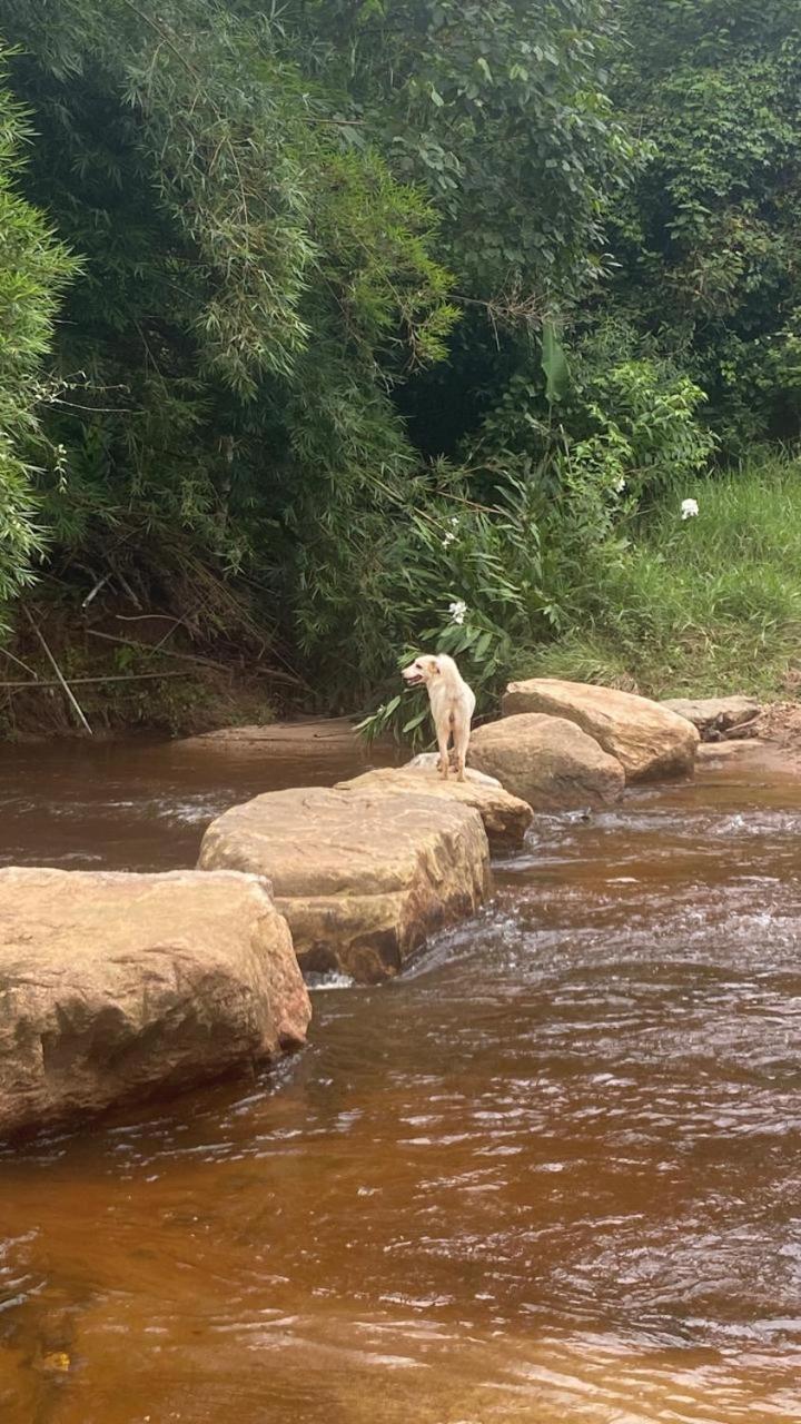 Pousada Rural E Pesqueiro Chale Da Serra Conceição da Ibitipoca Kültér fotó