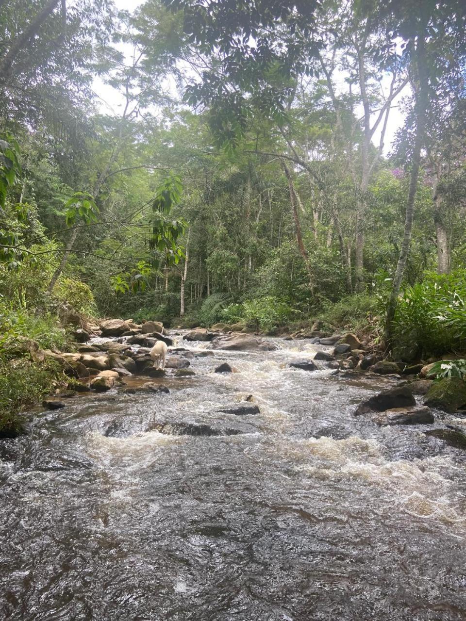Pousada Rural E Pesqueiro Chale Da Serra Conceição da Ibitipoca Kültér fotó
