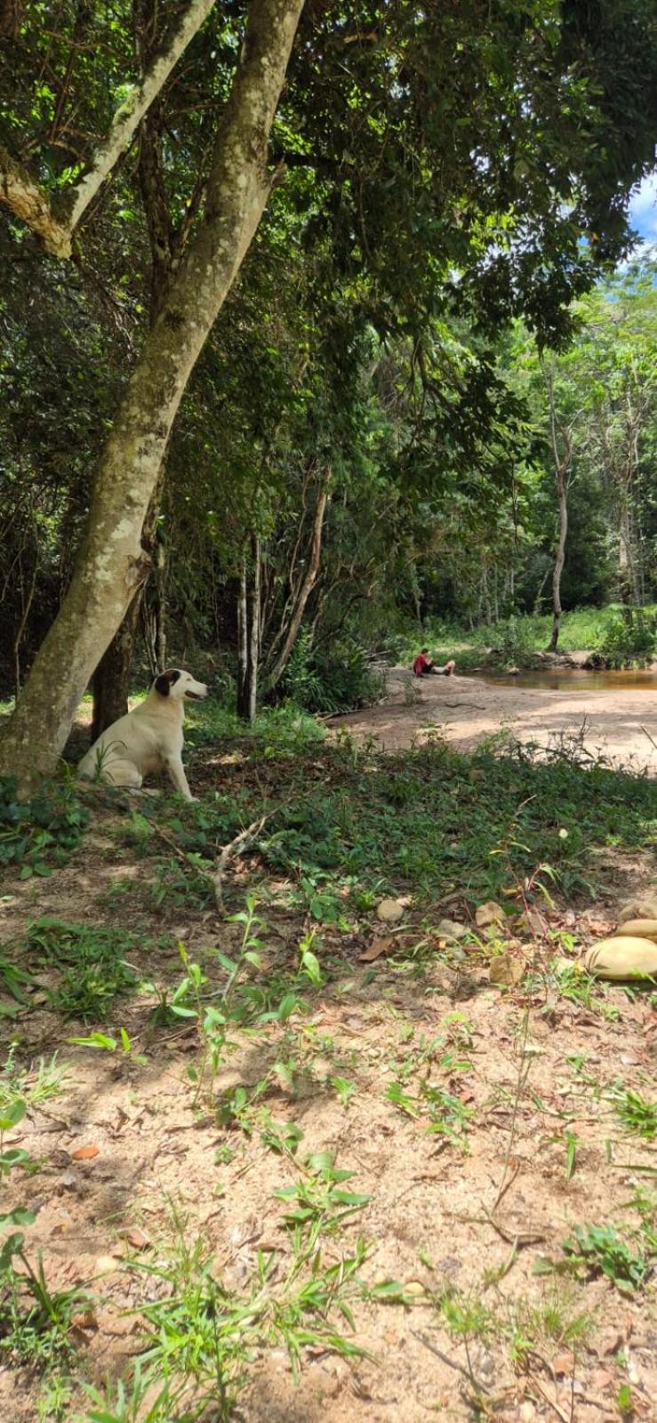 Pousada Rural E Pesqueiro Chale Da Serra Conceição da Ibitipoca Kültér fotó