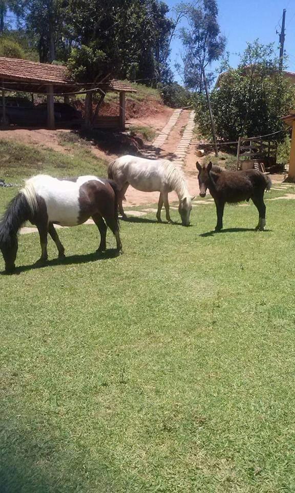 Pousada Rural E Pesqueiro Chale Da Serra Conceição da Ibitipoca Kültér fotó